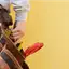 Handyman repair service in Newark, NJ for home fixes and improvements